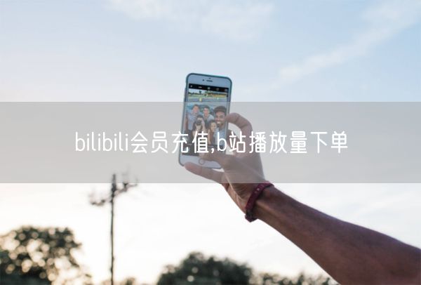 bilibili会员充值,b站播放量下单